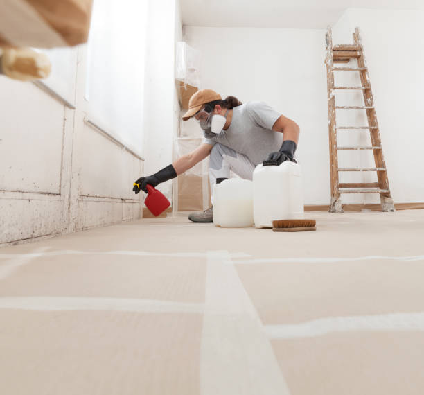 Mold Odor Removal Services in Delavan, WI